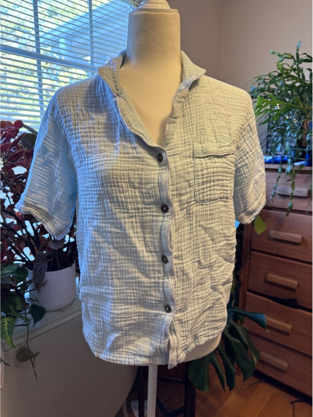 Simply southern blue cotton button up top